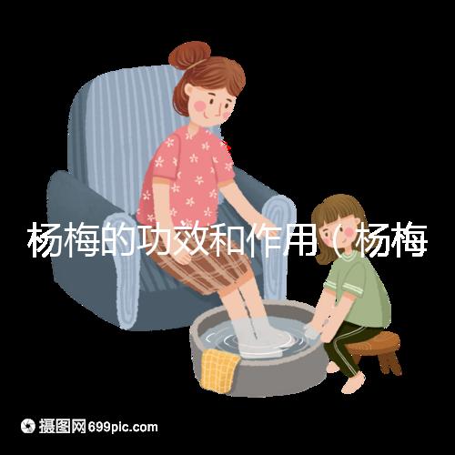楊梅的功效和作用（楊梅的功效和作用禁忌 營養(yǎng)價(jià)值）