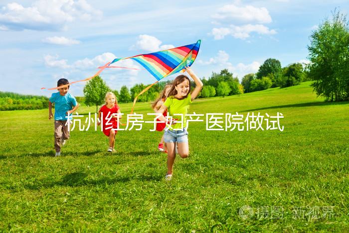 杭州紅房子婦產(chǎn)醫(yī)院做試管嬰兒需要多少錢?2025試管價目表曝光(含檢查、促排、移植全流程費用明細)