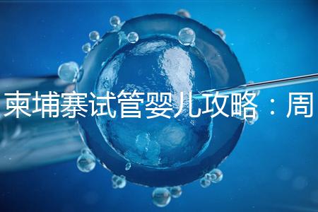 柬埔寨試管嬰兒攻略：周期和時(shí)間規(guī)劃全解析！