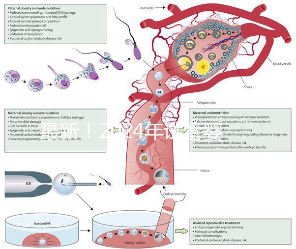 最新!2024年試管嬰兒醫(yī)院排行榜來(lái)了!(附名單)