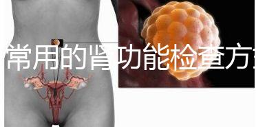 最常用的腎功能檢查方式匯總，抽血驗尿必不可少