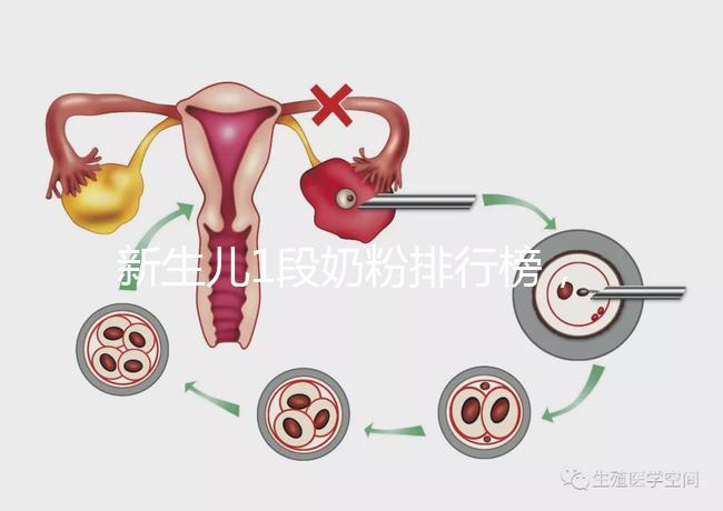 新生兒1段奶粉排行榜，口碑好、價格實惠的品牌紛紛上榜