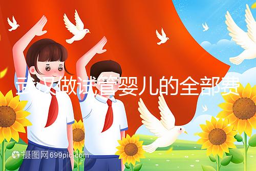 武漢做試管嬰兒的全部費(fèi)用大概是多少錢(qián)?