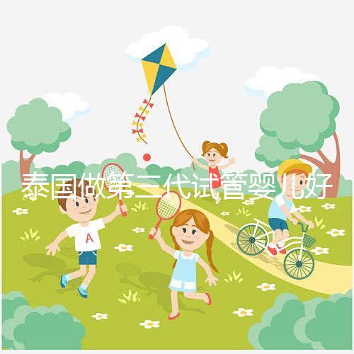 泰國做第三代試管嬰兒好的醫(yī)院排名榜:附試管成功率比較高的醫(yī)院