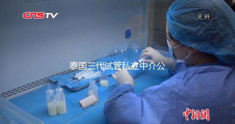 泰國(guó)三代試管私立中介公司推薦,排名一目了然,輕松選擇!