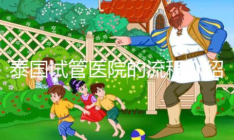 泰國(guó)試管醫(yī)院的流程介紹,9個(gè)步驟全部完成