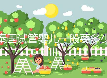 泰國試管嬰兒一般要多少錢(泰國試管嬰兒一般要多少錢費用)