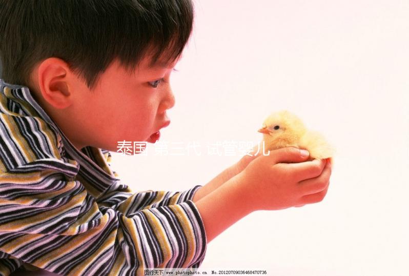 泰國(guó) 第三代 試管嬰兒(泰國(guó) 第三代 試管嬰兒費(fèi)用)