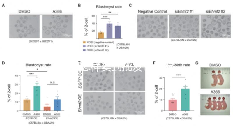 水果怎樣賣到批發(fā)市場呢(水果怎樣賣到批發(fā)市場呢視頻)