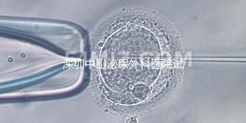 深圳中山泌尿外科醫(yī)院試管成功率參考，一次就中并非神話