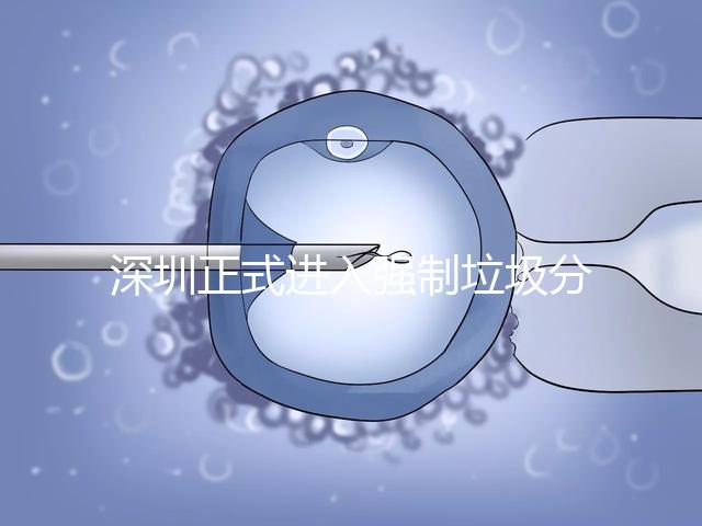 深圳正式進(jìn)入強(qiáng)制垃圾分類時(shí)代,不分類最高被罰50萬!