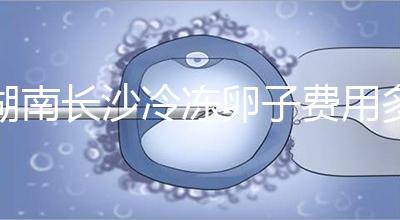 湖南長沙冷凍卵子費(fèi)用多少?中信湘雅盧光琇教授這樣說...