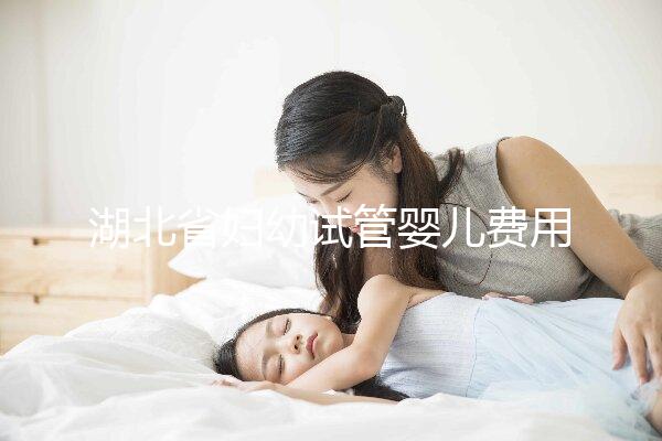 湖北省婦幼試管嬰兒費用指南，單次助孕收費標(biāo)準參考