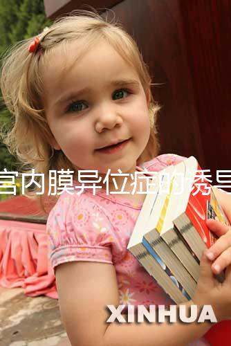 子宮內(nèi)膜異位癥的誘導(dǎo)排卵方案,其實沒有標準答案