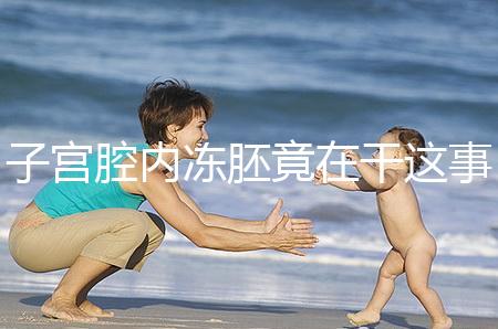 子宮腔內凍胚竟在干這事!移植第3、第4天狀態有差別