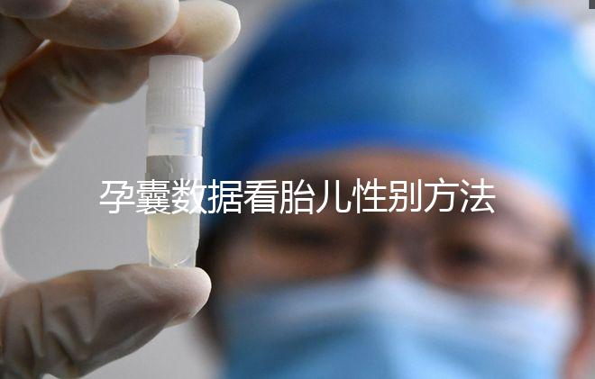 孕囊數據看胎兒性別方法，尺寸兩大一小是男孩瞎扯