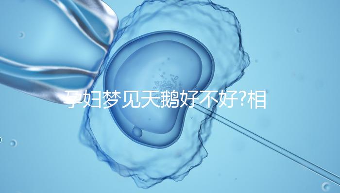 孕婦夢(mèng)見天鵝好不好?相關(guān)的解讀大全都在這了