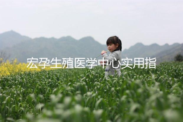 宏孕生殖醫(yī)學中心實用指南:醫(yī)院地址