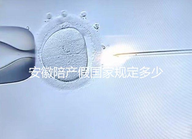 安徽陪產假國家規定多少天更新，2024淮南何時開始執行戳