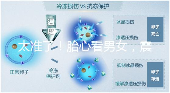 太準了！胎心看男女，震驚結果大于150就一定是女孩