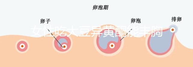 女性吃大豆異黃酮能豐胸？別再被這些虛假廣告給忽悠了