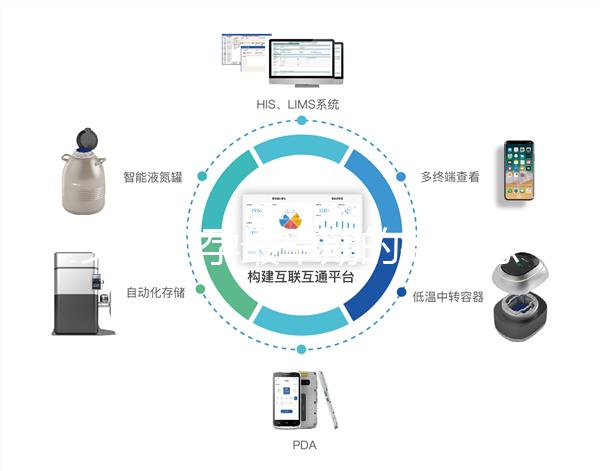 女性懷孕最早期的微妙感覺，同房5周腰酸疑似有身孕