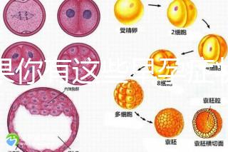 如果你有這些早孕癥狀，那恭喜試管嬰兒成功懷上啦