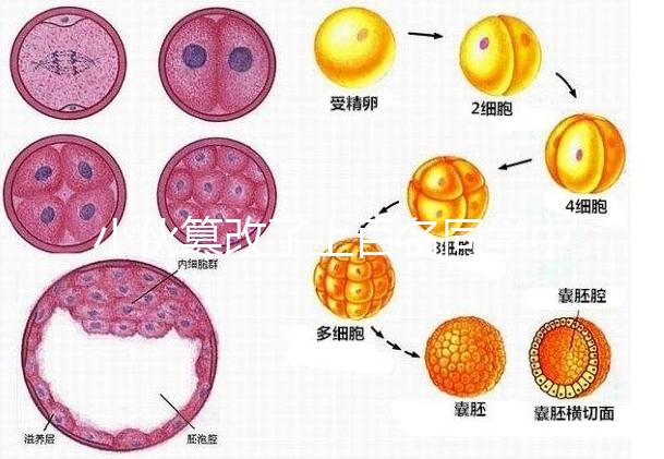 小伙篡改了上百名同學中考志愿，這些預防知識多么重要！