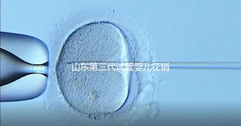 山東第三代試管嬰兒花銷(xiāo)全解析:詳細(xì)價(jià)格一覽,輕松做好預(yù)算準(zhǔn)備