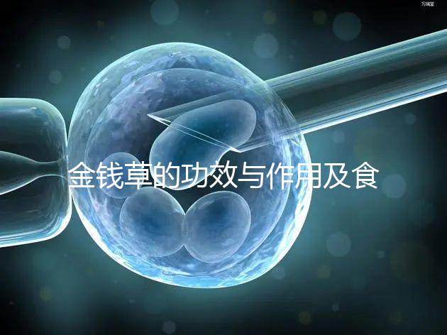 金錢草的功效與作用及食用方法(金錢草泡水喝的功效)