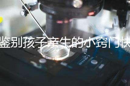 鑒別孩子親生的小竅門快收藏，取牙刷樣本準(zhǔn)不準(zhǔn)分情況