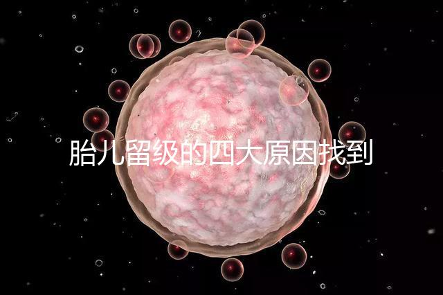 胎兒留級的四大原因找到了！多半和媽媽太懶不運動有關系