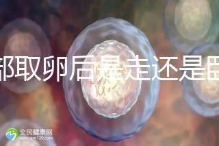 腹部取卵后是走還是臥床？適當走路喝點紅豆水是正確做法