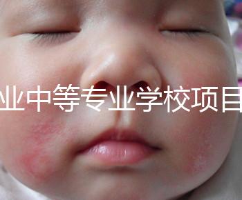 職業(yè)中等專業(yè)學校項目(中等職業(yè)學校專業(yè)建設(shè)規(guī)劃實施方案)