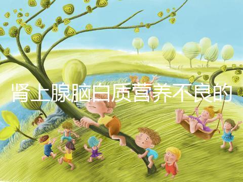 腎上腺腦白質營養不良的遺傳概率，如何避免遺傳？