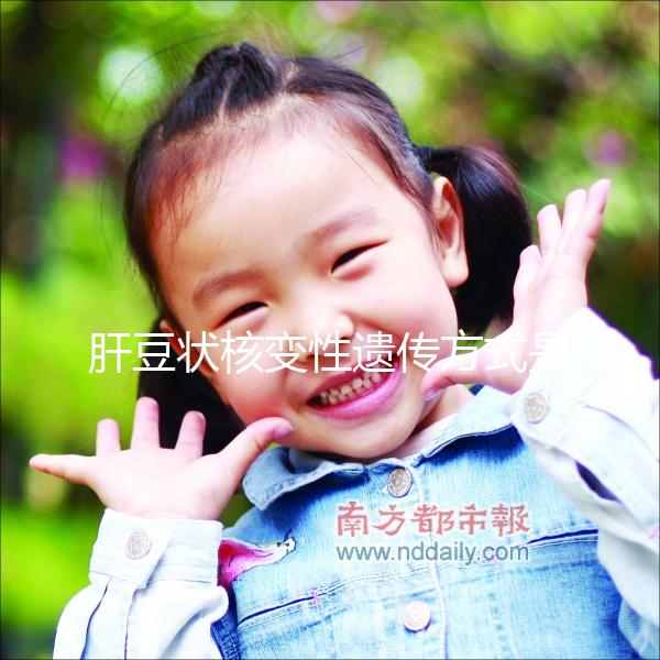 肝豆?fàn)詈俗冃赃z傳方式是什么?做三代試管PGD能避免嗎