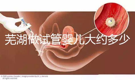 蕪湖做試管嬰兒大約多少錢？一次成功率高嗎？