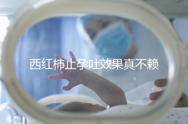 西紅柿止孕吐效果真不賴，選小的生吃或加雞蛋打湯都行