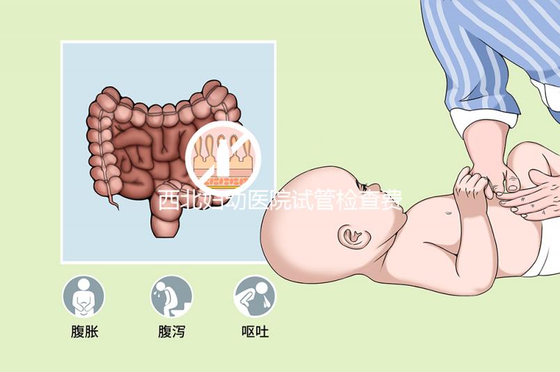 西北婦幼醫(yī)院試管檢查費用流出！做完記得來這領(lǐng)報告單