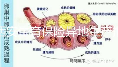 西安生育保險(xiǎn)異地生產(chǎn)報(bào)銷流程及程序公開(kāi),不懂收藏