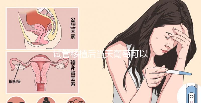 試管移植后當(dāng)天葡萄可以吃嗎？真不會(huì)影響著床隨便吃