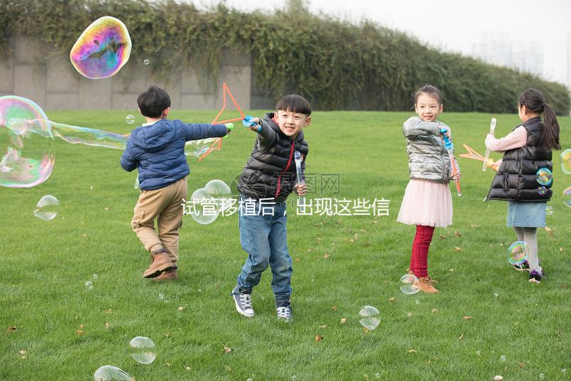 試管移植后，出現(xiàn)這些信號(hào)預(yù)示著成功懷孕啦！