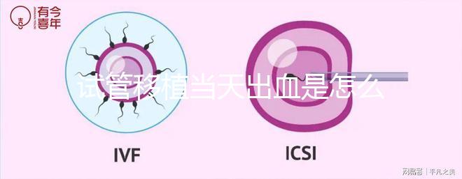 試管移植當(dāng)天出血是怎么回事？收好你的“玻璃心”別太擔(dān)心