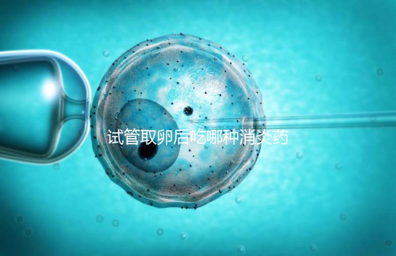 試管取卵后吃哪種消炎藥？婦科炎癥常用這6種藥物