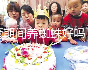 試管期間養蜘蛛好嗎？人們告訴你，這些影響應該早知道