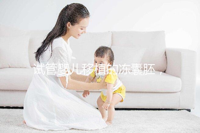 試管嬰兒移植的凍囊胚，成功率有多高？