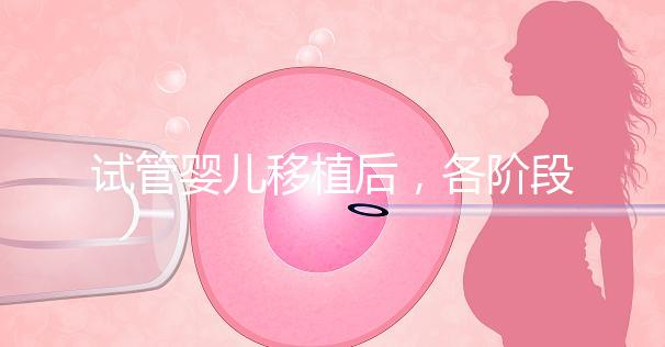 試管嬰兒移植后，各階段如何保胎？