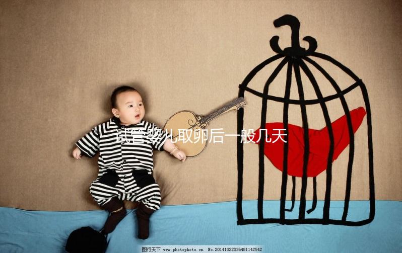 試管嬰兒取卵后一般幾天后可以進(jìn)行胚胎移植