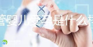 試管嬰兒受孕是什么樣的原理呢？