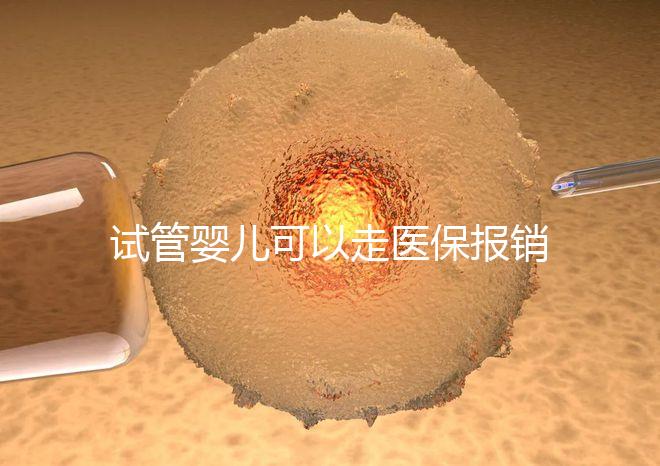 試管嬰兒可以走醫(yī)保報銷嗎？2025年最新費用標準及政策解讀